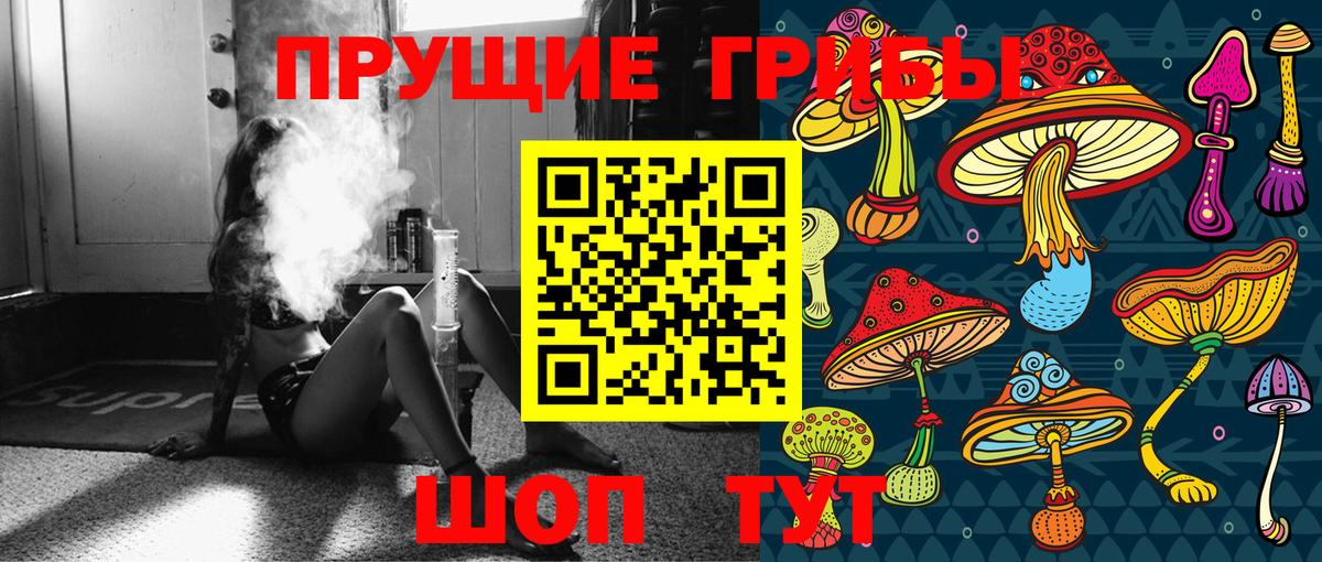 Петропавловск-Камчатский  Галлюциногенные грибы ЛСД  Псилоцибиновые грибы Cubensis  магазин продажи   Вход с VPN 