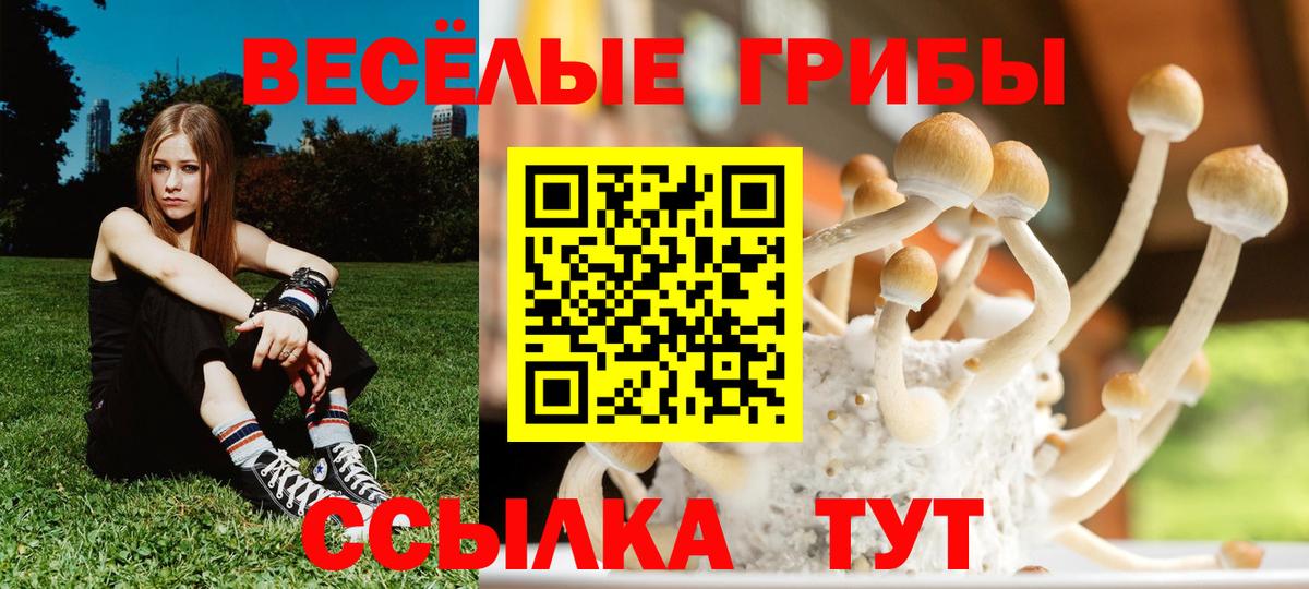 Псилоцибиновые грибы мухоморы Петропавловск-Камчатский